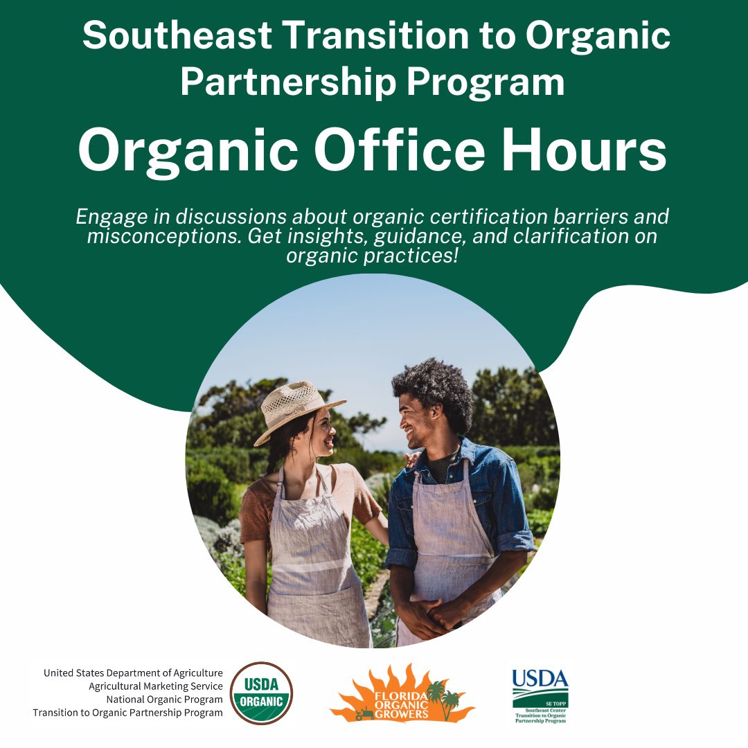 office-hours-se-topp